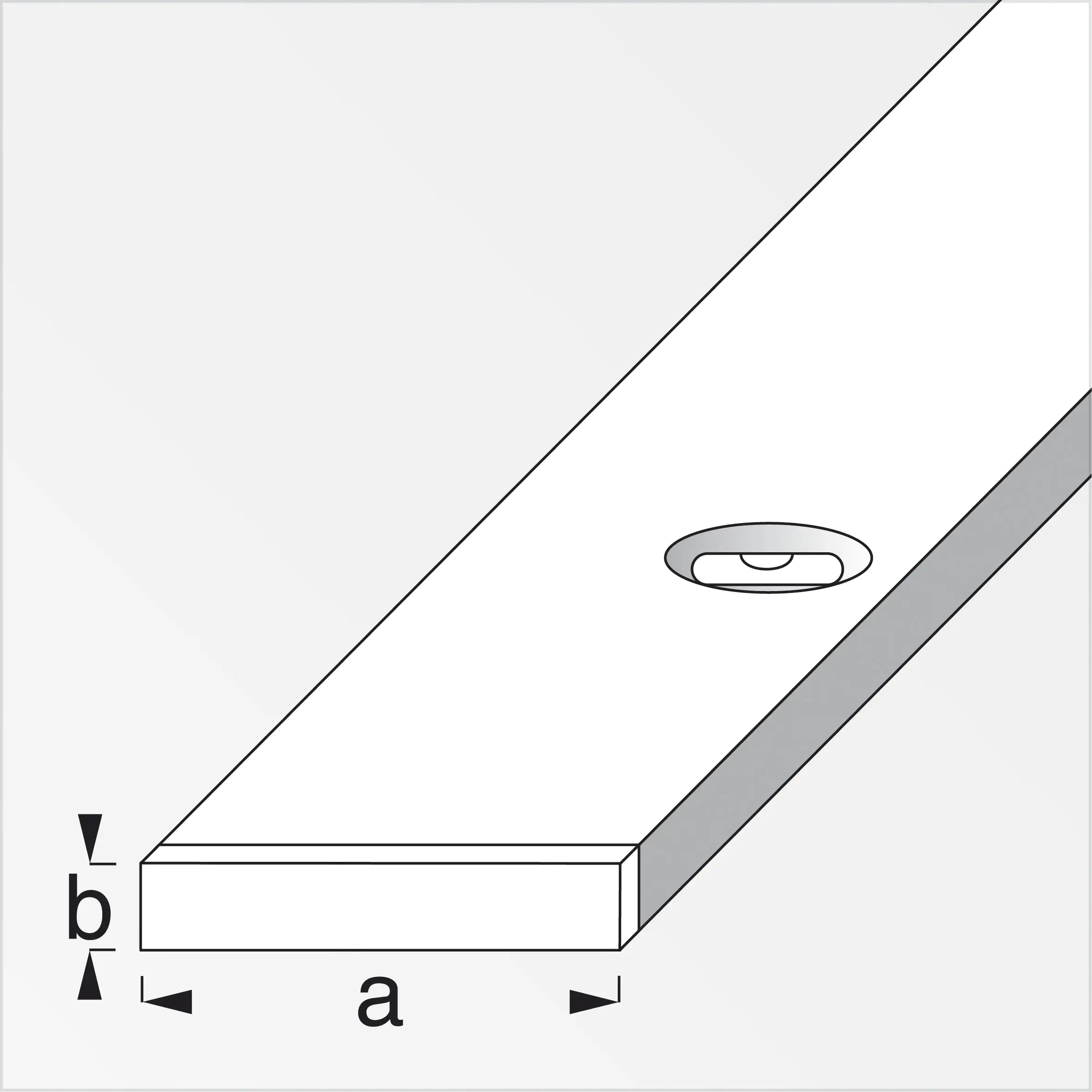 alfer Combitech Richtlatte mit Libelle 180 cm alfer Combitech Richtlatte mit Libelle 180 cm