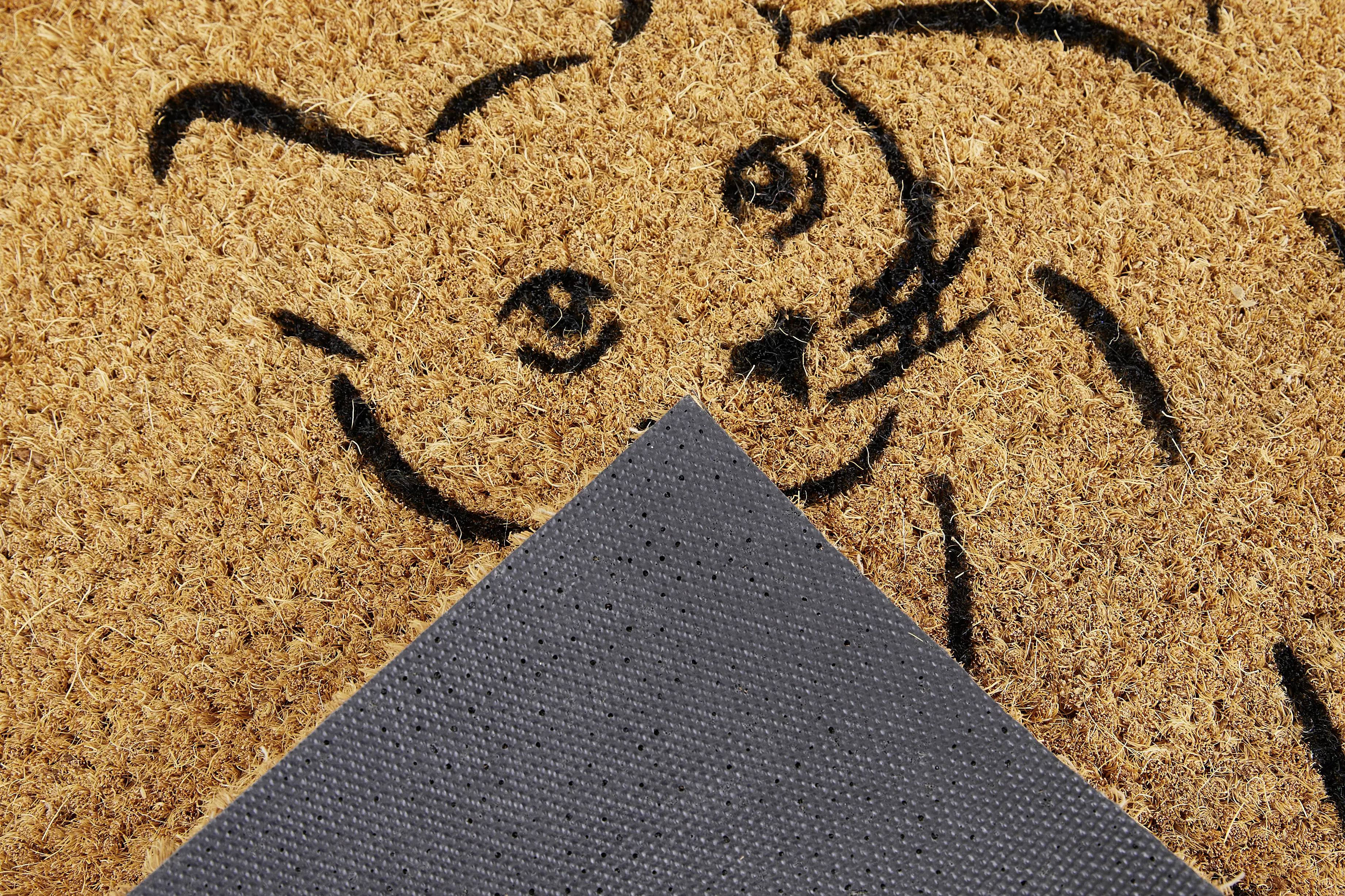 Fußmatte Kokos Pets 40 x 60 cm Cat