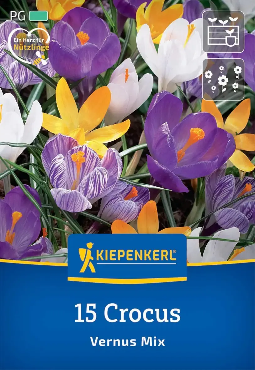 Kiepenkerl Herbstblumenzwiebel Großblumiger Krokus Mischung 15 Stück
