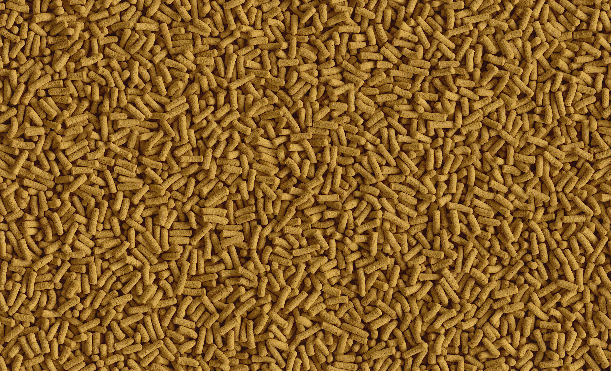 Tetra Cichlid Sticks 500 ml