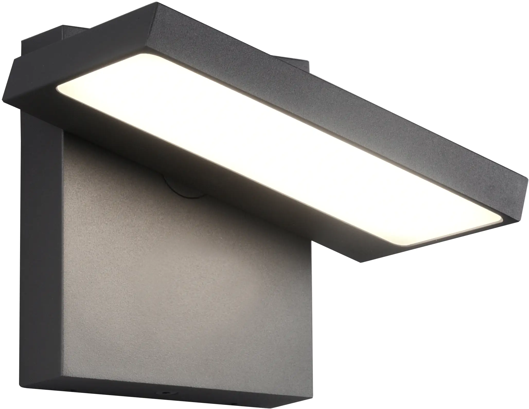 Trio Leuchten LED Außen-Wandleuchte Horton anthrazit schwenkbar Trio Leuchten LED Außen-Wandleuchte Horton anthrazit schwenkbar