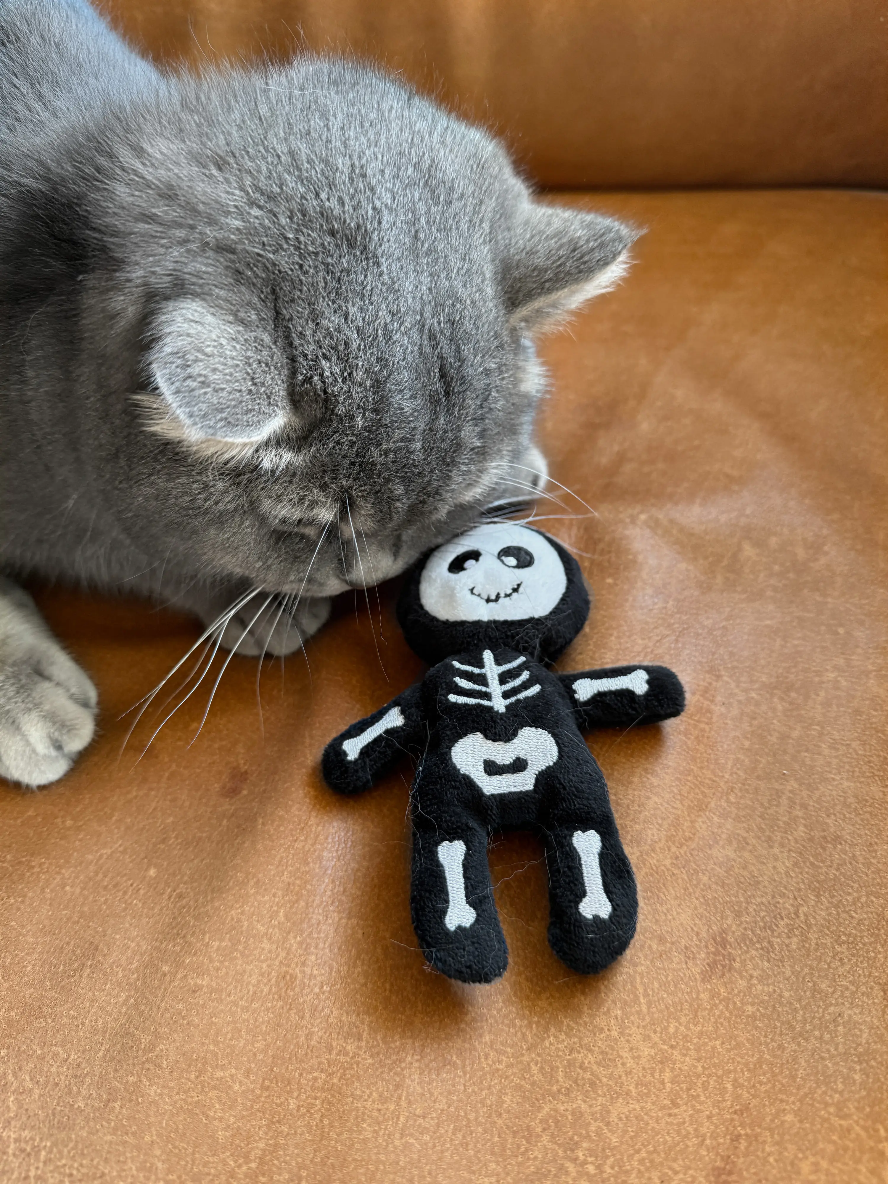 Aumüller Katzenspielzeug Skelett 13 cm schwarz weiß Aumüller Katzenspielzeug Skelett 13 cm schwarz weiß