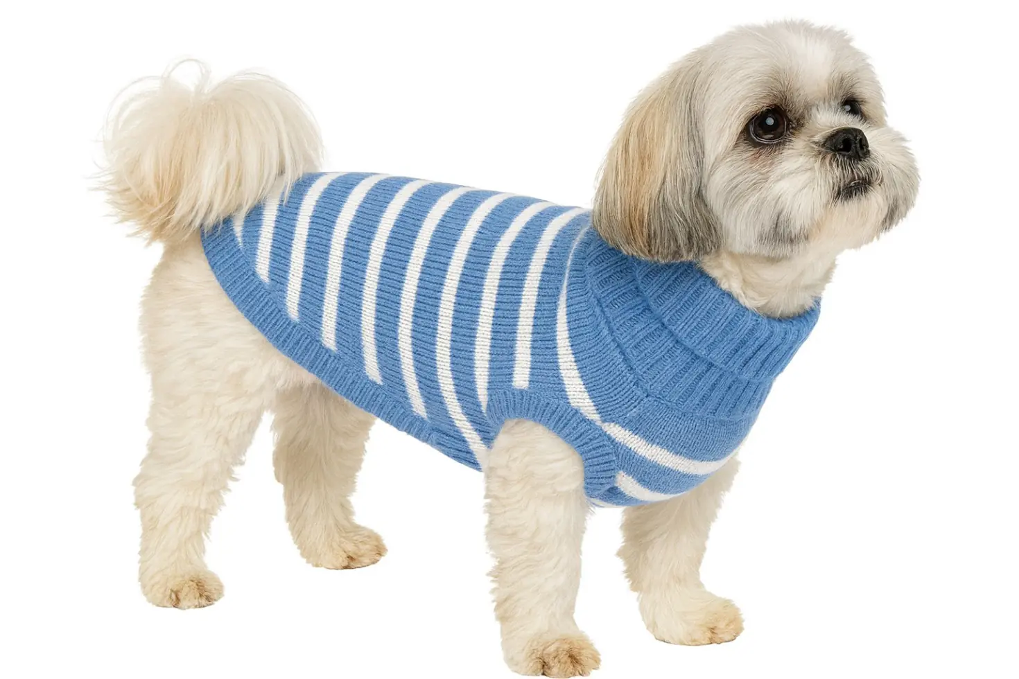 Nobby Hundepullover Pasma Rückenlänge 40 cm, blau