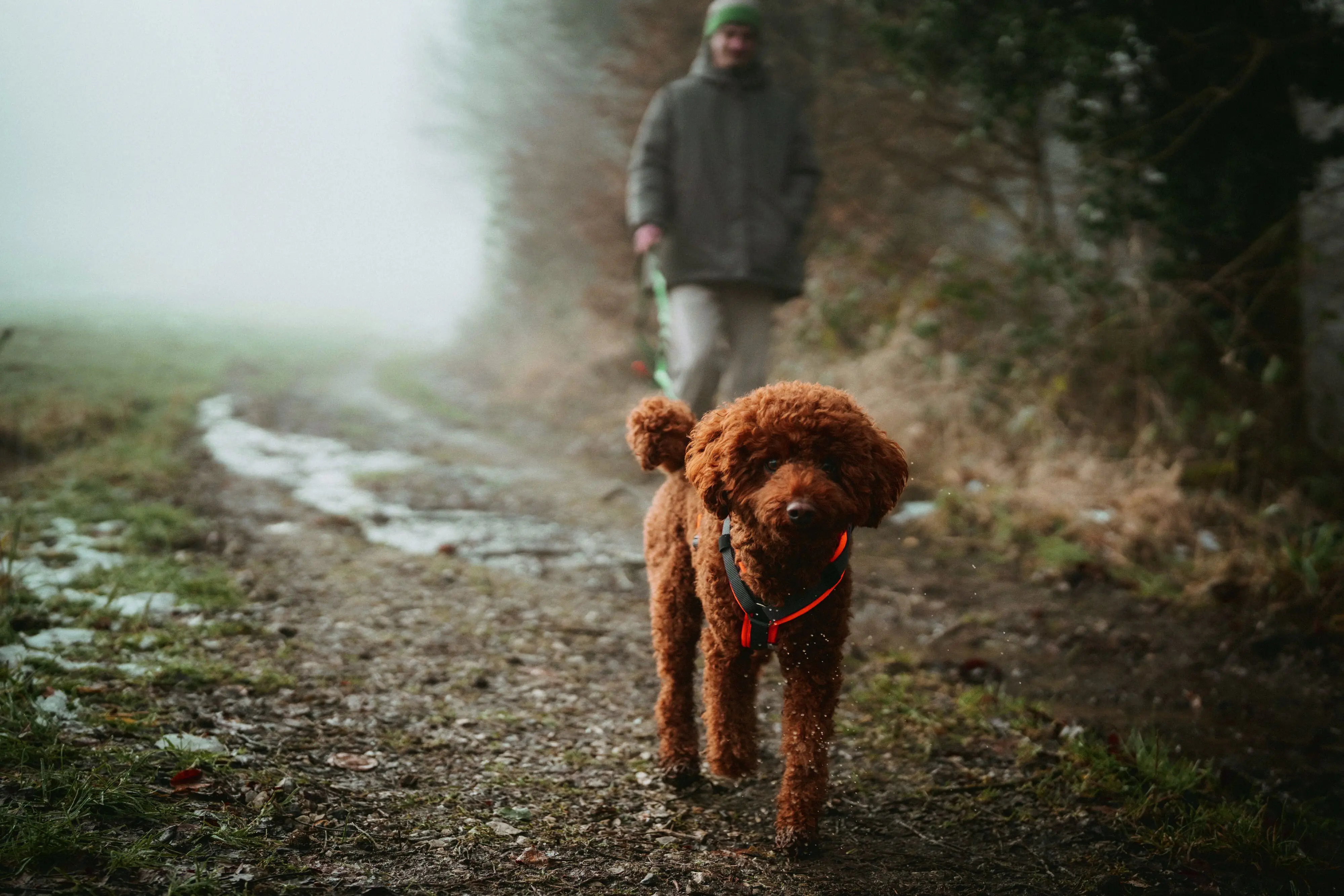 Hunter Hundegeschirr Maldon Up mit Griff M orange/grau