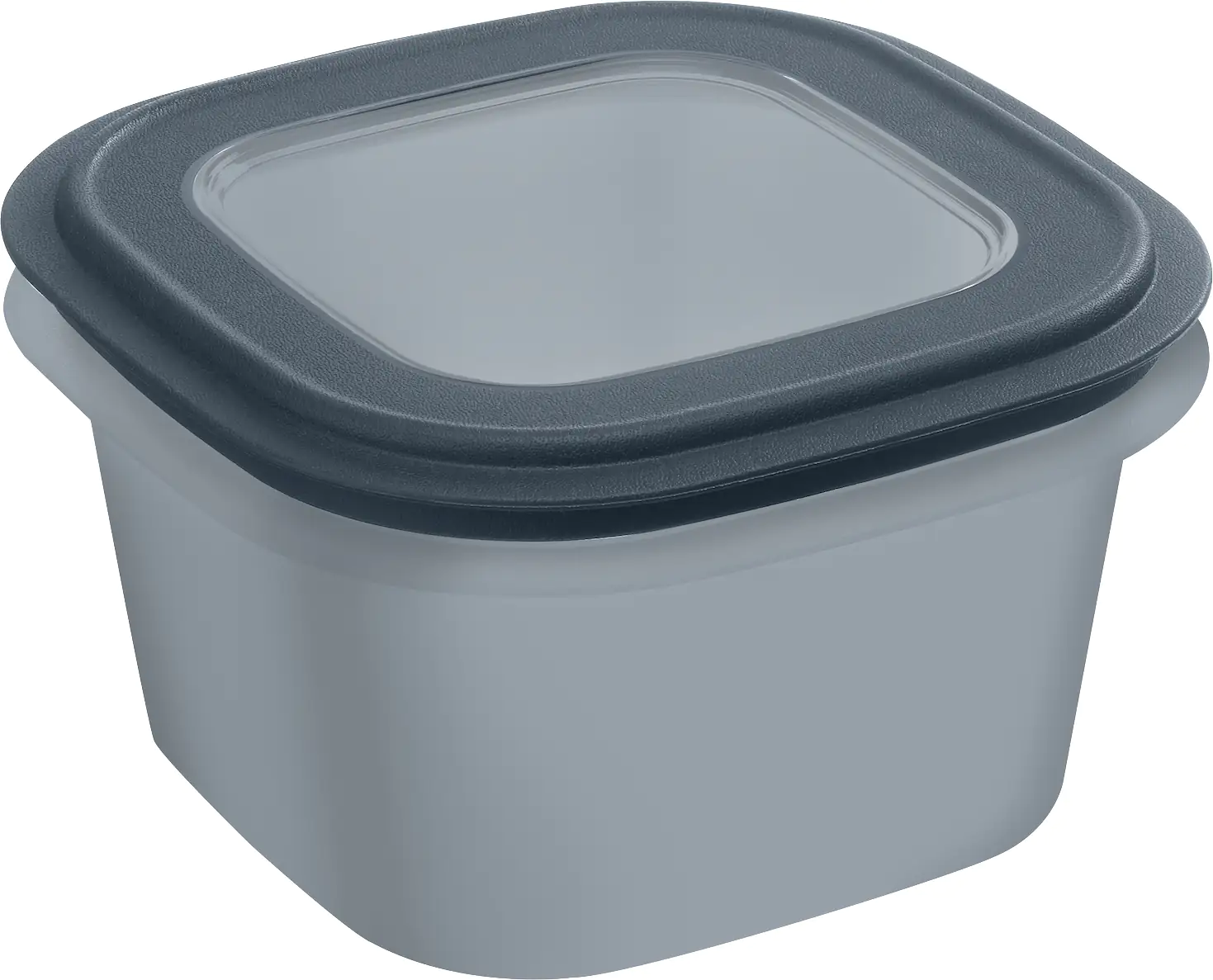 Sunware Frischhaltedose Sigma Home 1,8 L blaugrau Sunware Frischhaltedose Sigma Home 1,8 L blaugrau