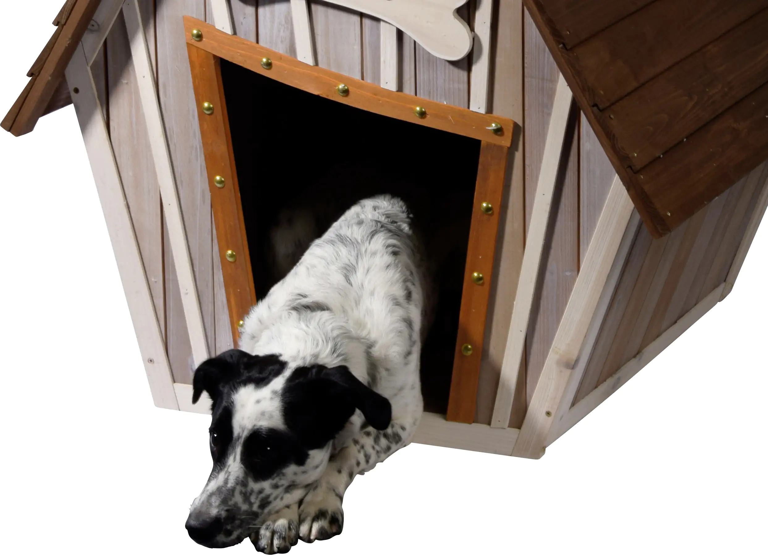 Dobar Design-Hundehütte Hubi Dobar Design-Hundehütte Hubi