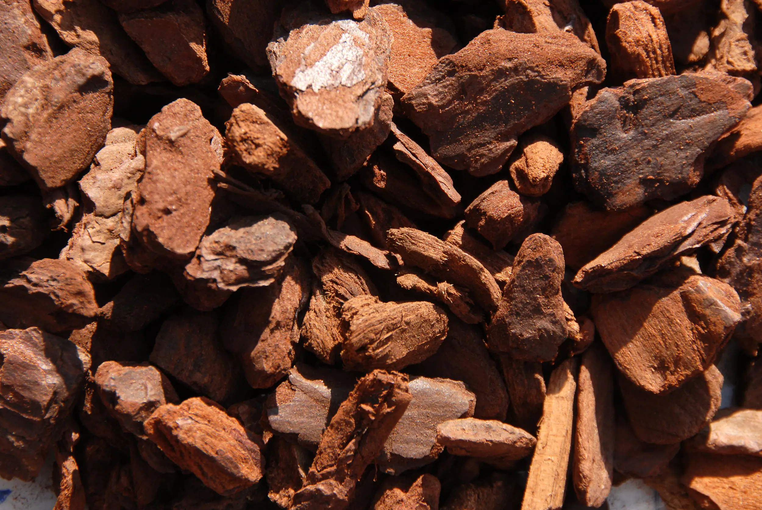 Agricon Pinienrinde Excellent 15 - 25 mm Körnung 60 L Agricon Pinienrinde Excellent 15 - 25 mm Körnung 60 L