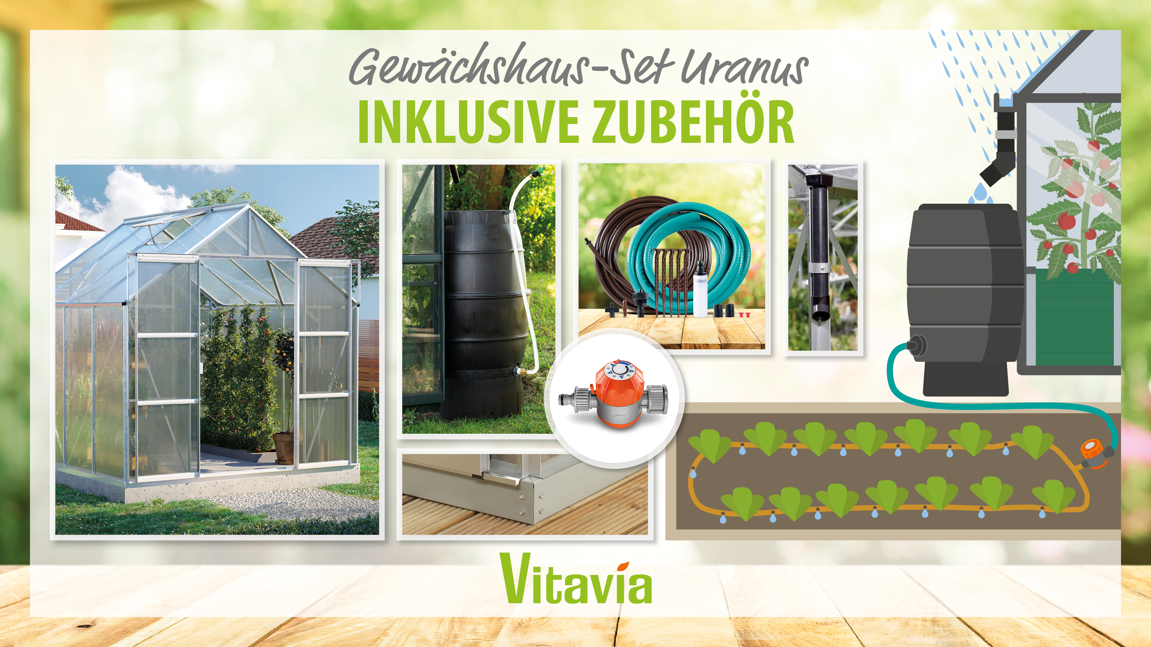 Vitavia Gewächshaus-Set Uranus 6700 HKP 6 mm alu 254 x 254 cm 