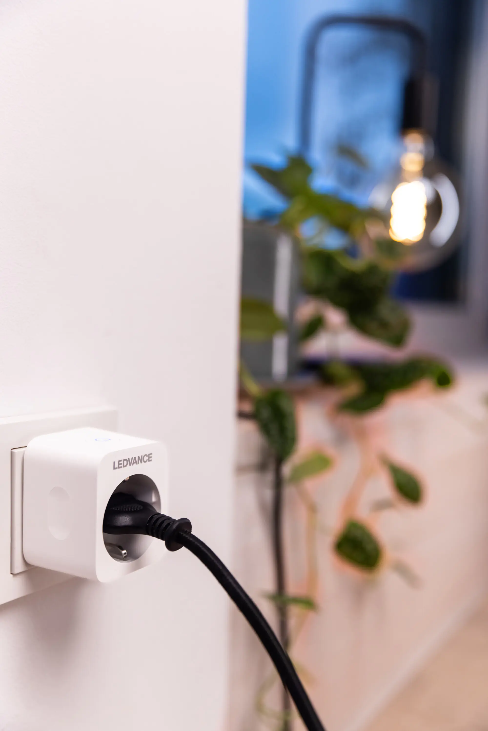 Ledvance Steckdose Smart+WiFi Smart Home Steckdose mit WiFi Strommesszähler Ledvance Steckdose Smart+WiFi Smart Home Steckdose mit WiFi Strommesszähler