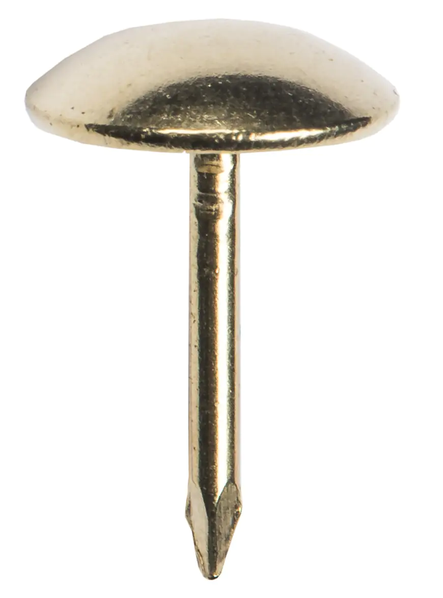 Polsternägel 10,0 x 12,5 mm