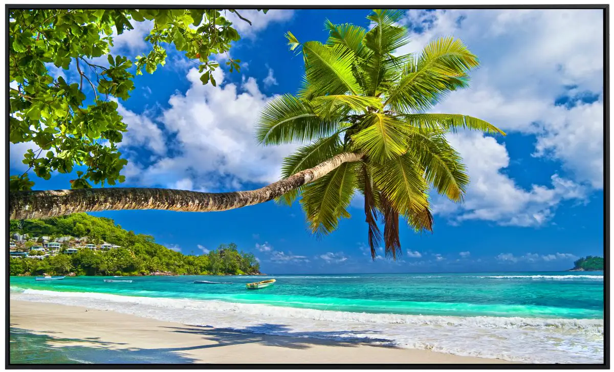 papermoon Infrarotheizkörper EcoHeat 75x120 cm 900 Watt, Palmen Strand