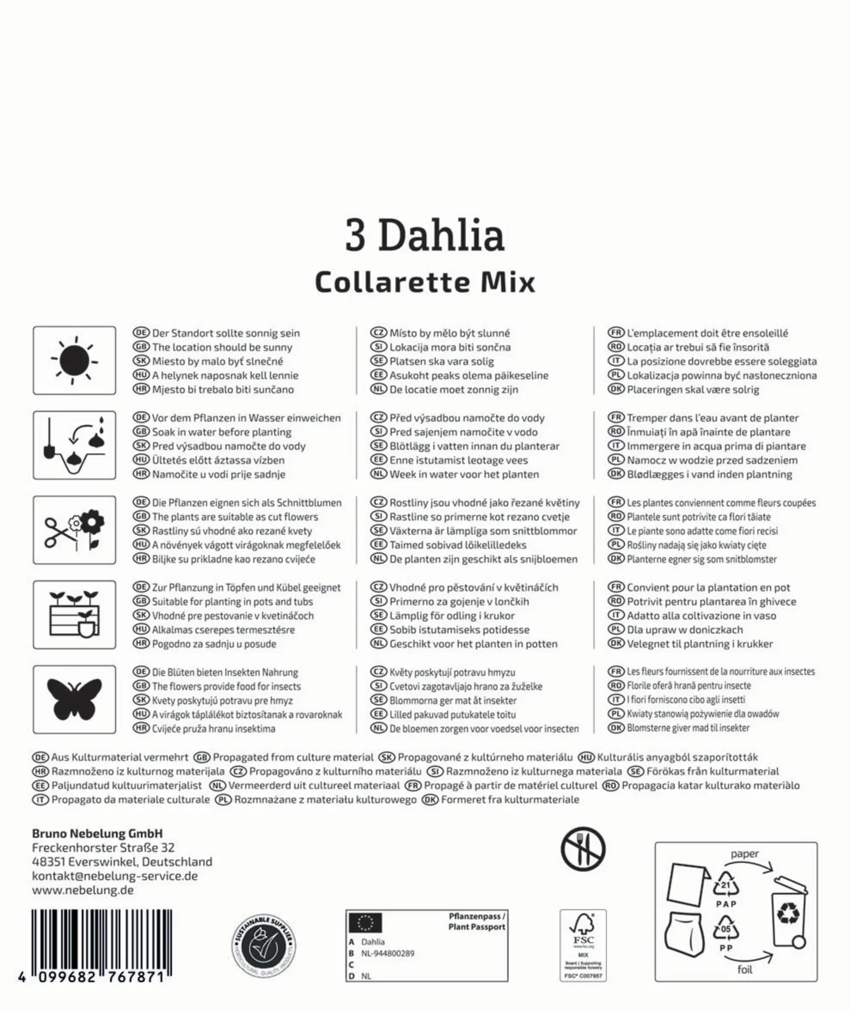 Kiepenkerl Mega-Pack Frühjahrsblumenzwiebel Halskrausen-Dahlien Mix 3 Stück