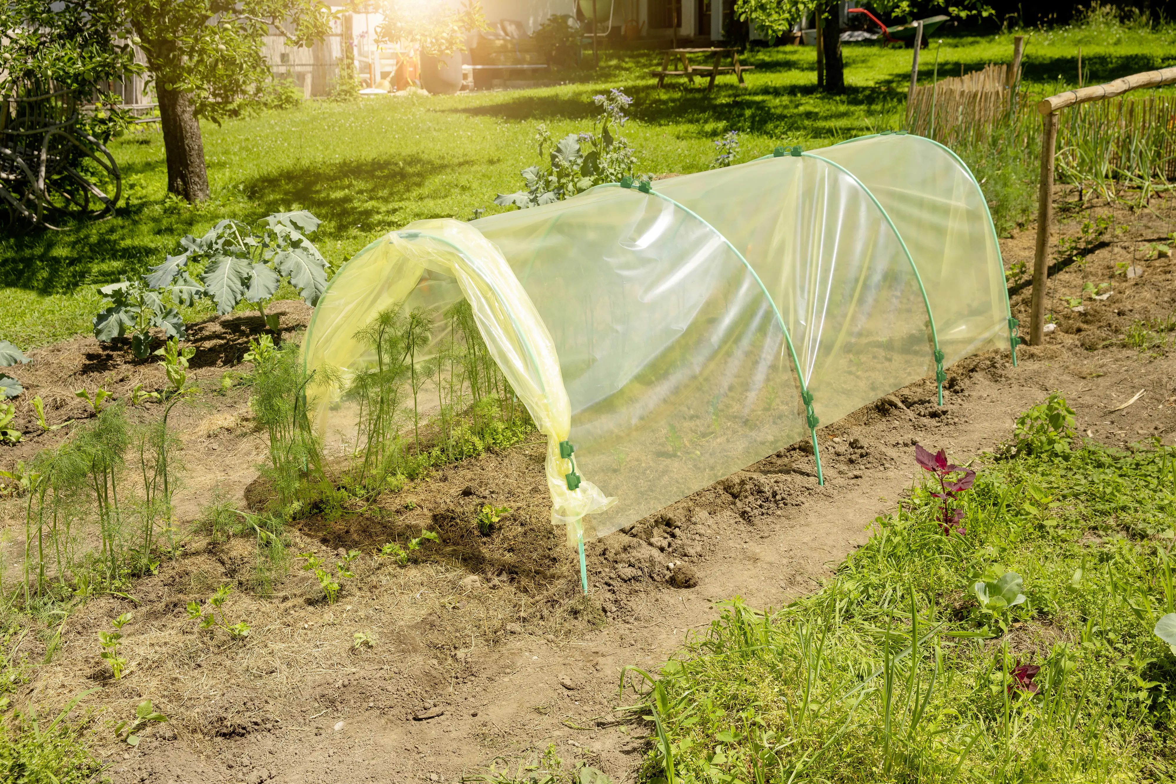 Windhager Tunnelgewächshaus-Folie 2 x 10 m, 70my