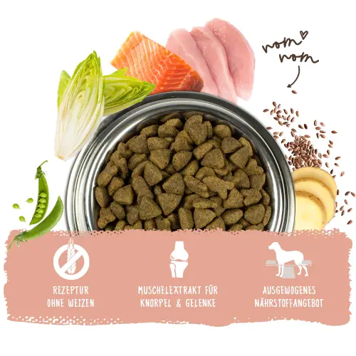 Bosch Trockenfutter für Hunde Adult 1 kg mit Lachs & Kartoffel Bosch Trockenfutter für Hunde Adult 1 kg mit Lachs & Kartoffel