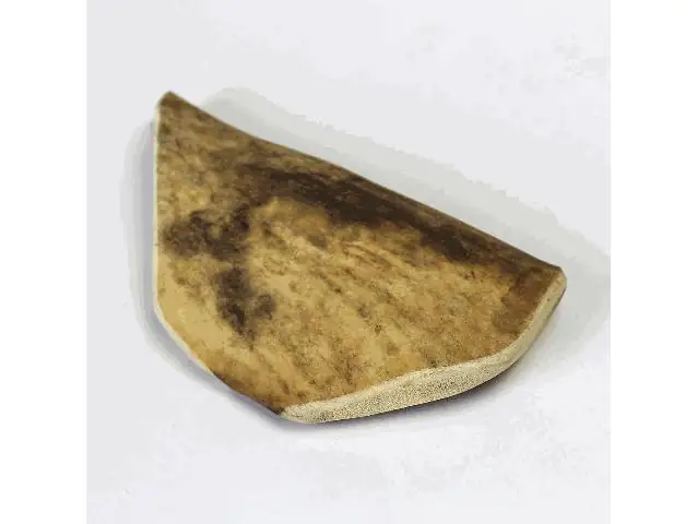 4038374160316 Larsson Geweih Elk-Schäufle II