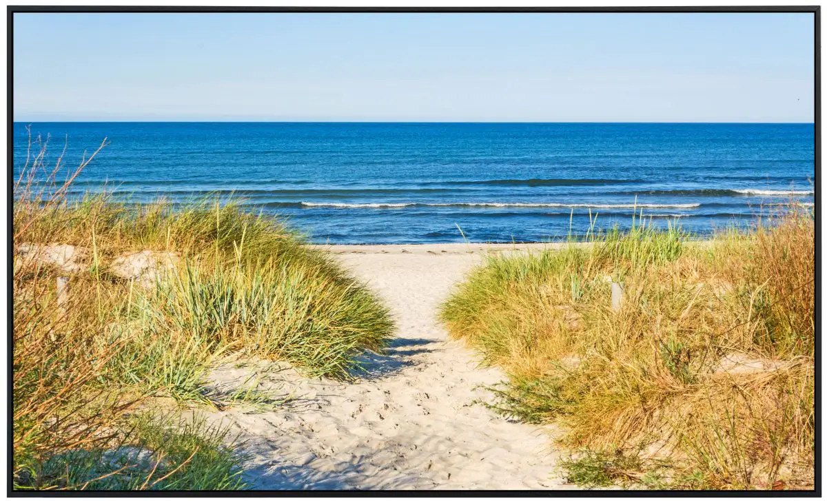 papermoon Infrarotheizkörper EcoHeat 75x120 cm 900 Watt, Dünen Strandweg