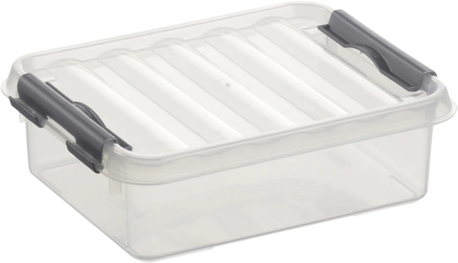 Sunware Aufbewahrungsbox 1L transparent 20 x 15 x 6 cm