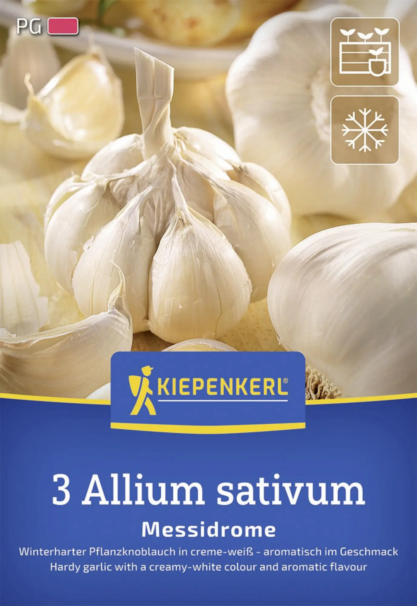 Kiepenkerl Pflanzgut Winterknoblauch Messidrome 3 Stück