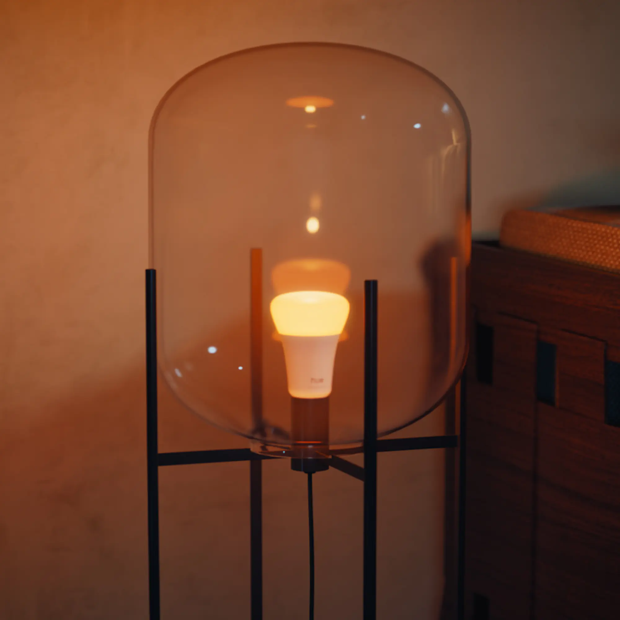 Philiph Hue Smart LED Leuchtmittel 8,1 W E27 warmweiß dimmbar