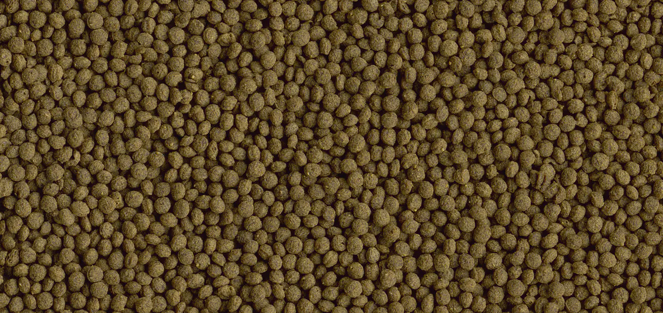 Tetra Goldfish Menu 250 ml