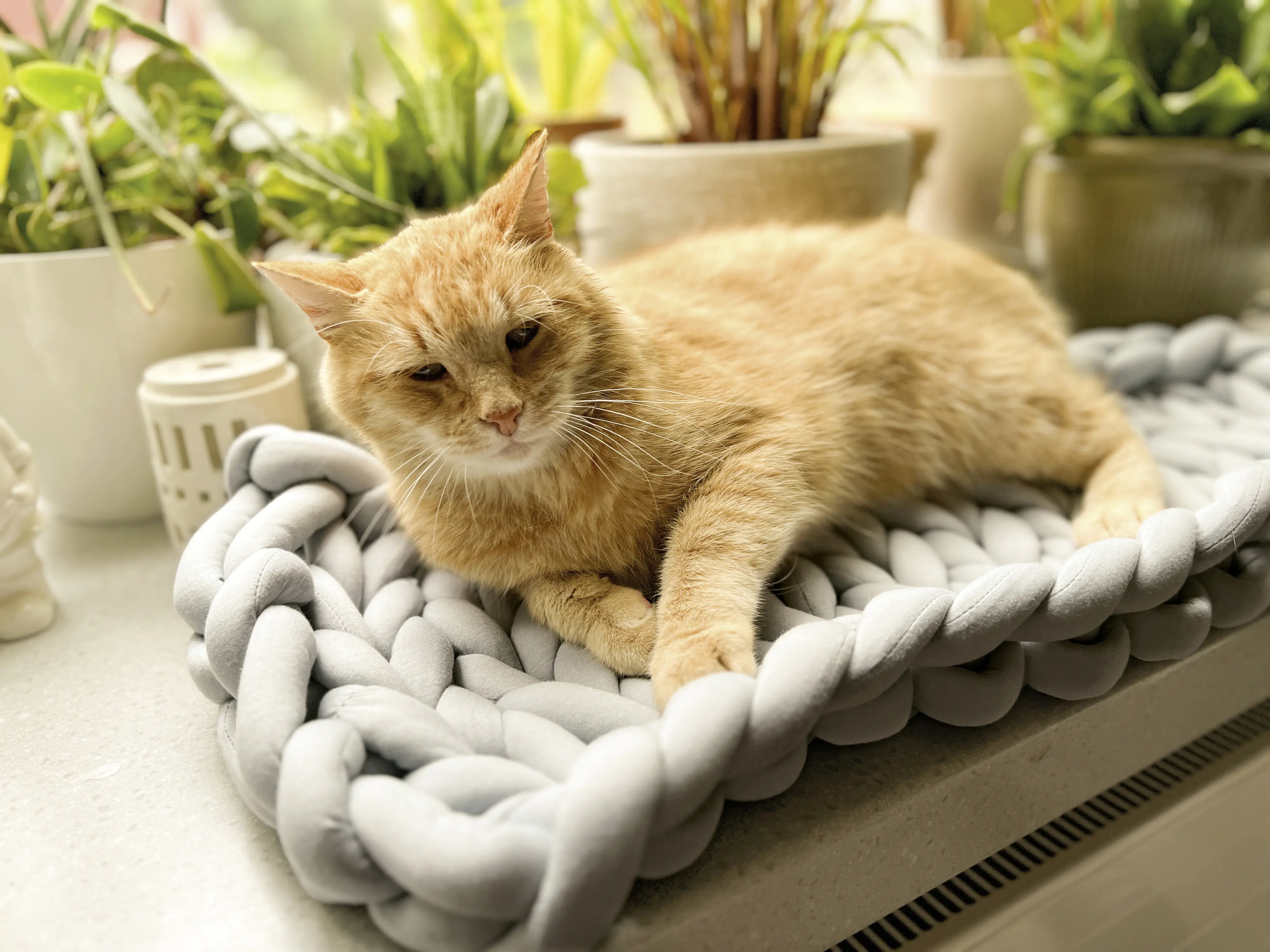 Aumüller Katzenbett XXL Grobstrick grau 65 x 25 x 6 cm