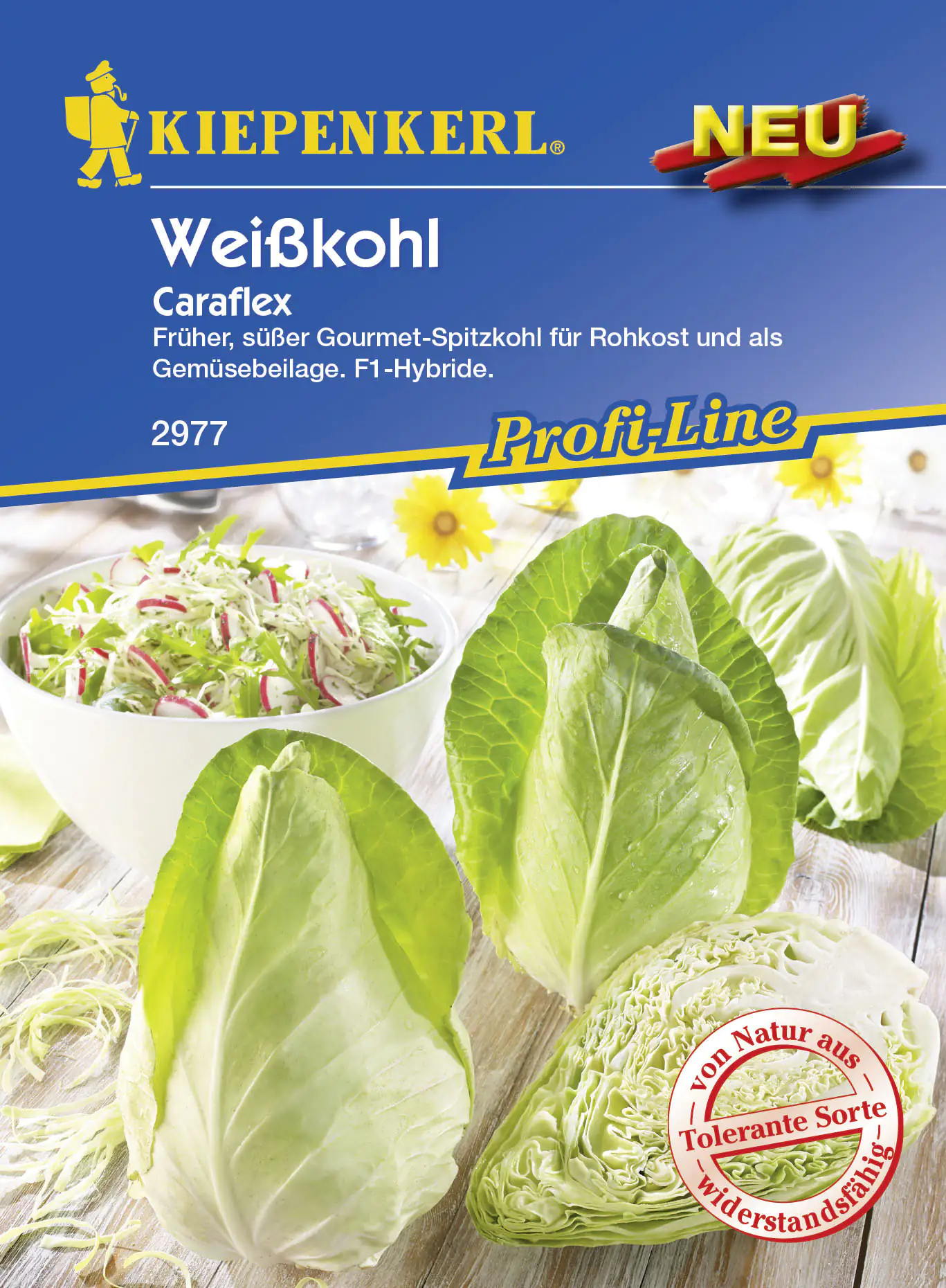 Kiepenkerl Spitzkohl Caraflex Brassica oleracea var. capitata f. alba, Inhalt: ca. 20 Pflanzen