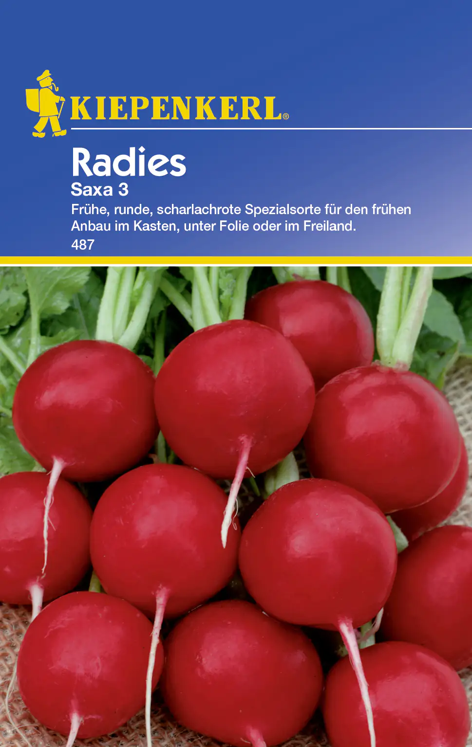 Kiepenkerl Radieschen Saxa 3 Raphanus sativus var. sativus, Inhalt: ca. 10 lfd. Meter