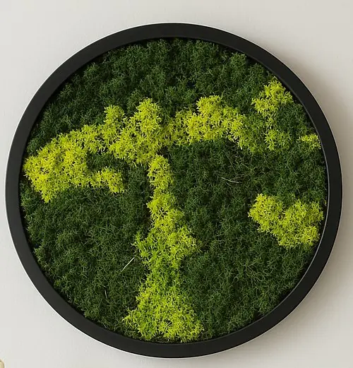 Moosbild rund Ø 38 cm mit echtem Moos