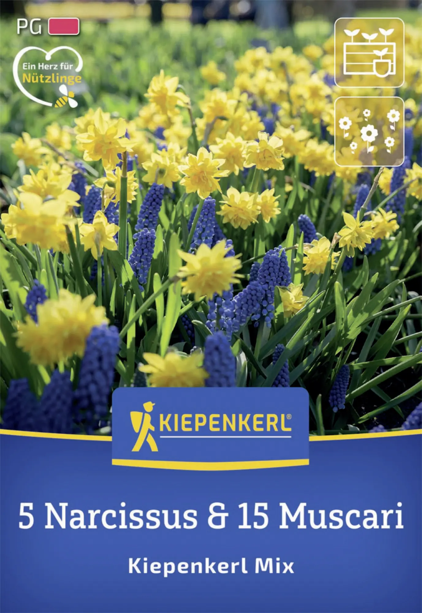 Kiepenkerl Herbstblumenzwiebelmischung Kiepenkerl Mix 20 Stück