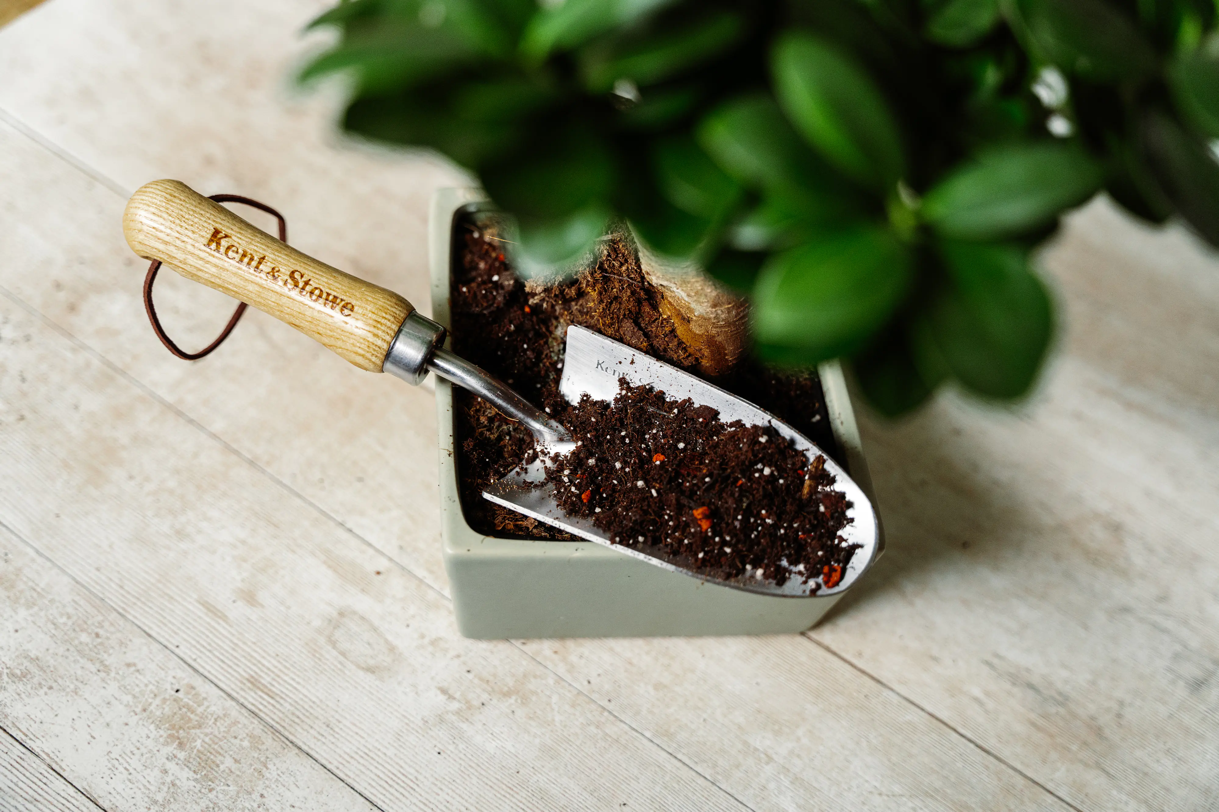 Westland Bonsai Erde torffrei 4 L Westland Bonsai Erde torffrei 4 L