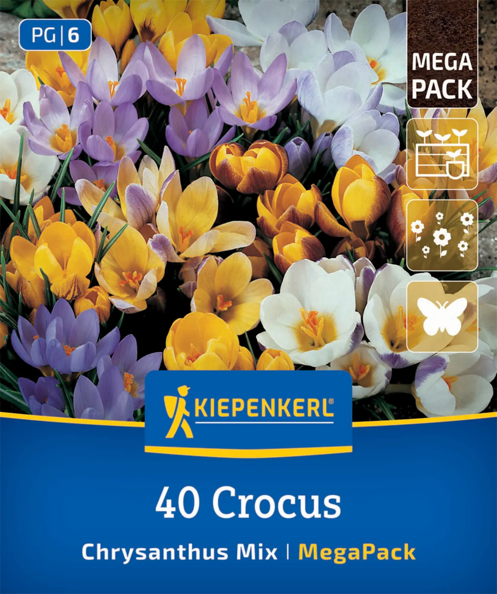 Kiepenkerl Herbstblumenzwiebel Krokusse Crocus chrysanthus Mischung 40 Stück