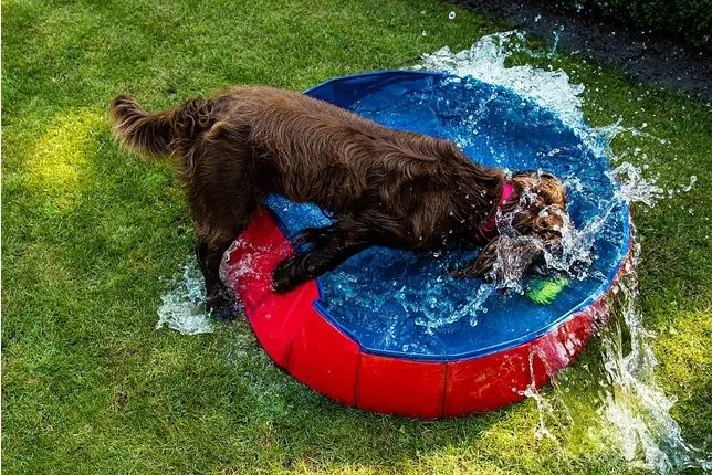 Nobby Hundepool rot Ø 120 x 30 cm
