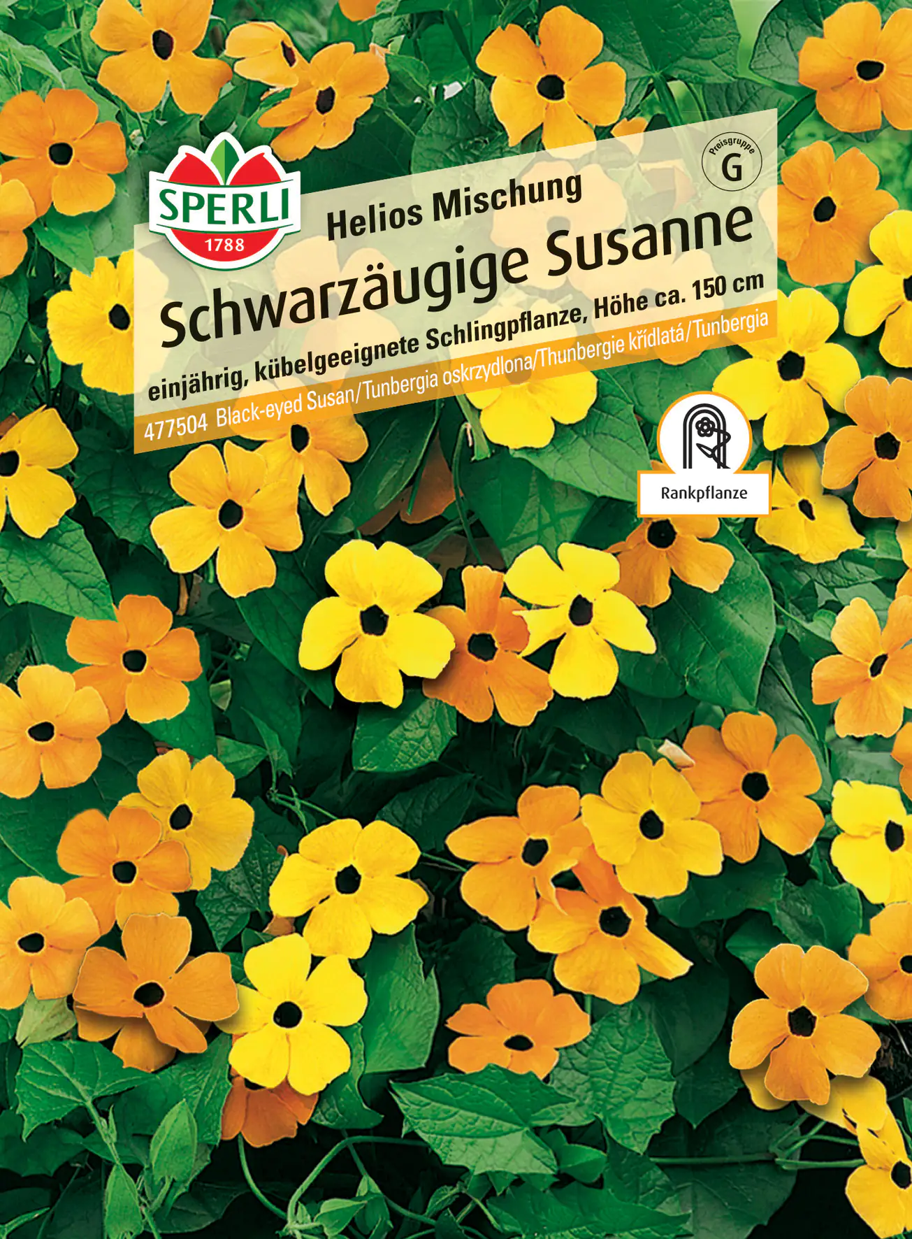 Sperli Schwarzäugige Susanne Helios Mischung Sperli Schwarzäugige Susanne Helios Mischung