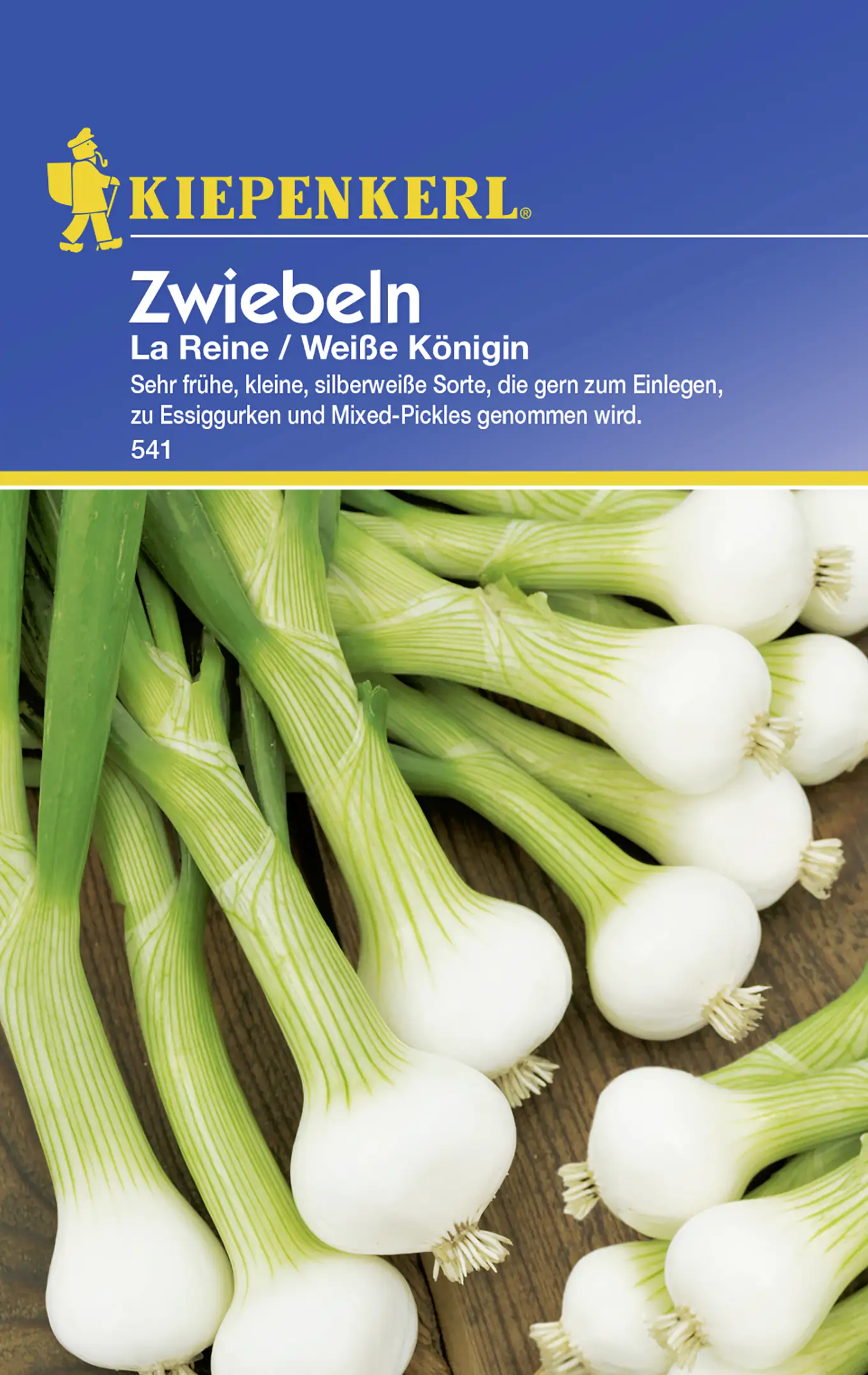 Kiepenkerl Zwiebel La Reine Weiße Königin Allium cepa, Inhalt: ca. 6 lfd. Meter