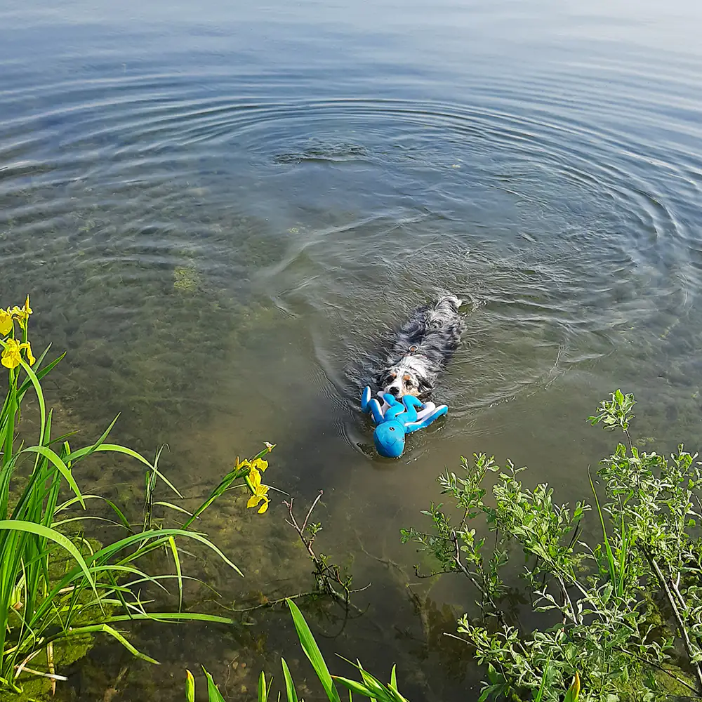 Nobby Oktopus Floating 36 cm Nobby Oktopus Floating 36 cm