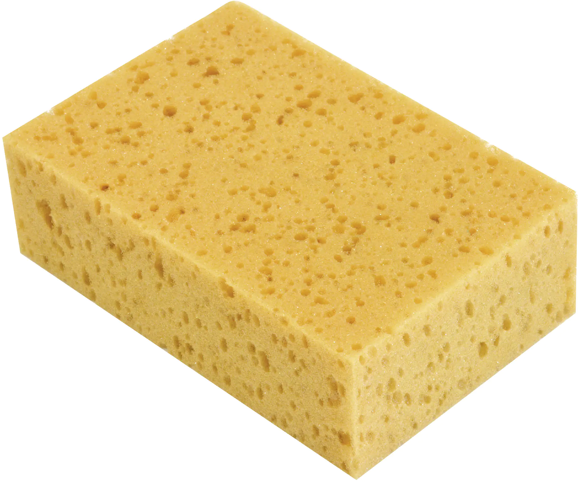 Coronet Universalschwamm 18 x 12 x 6 cm