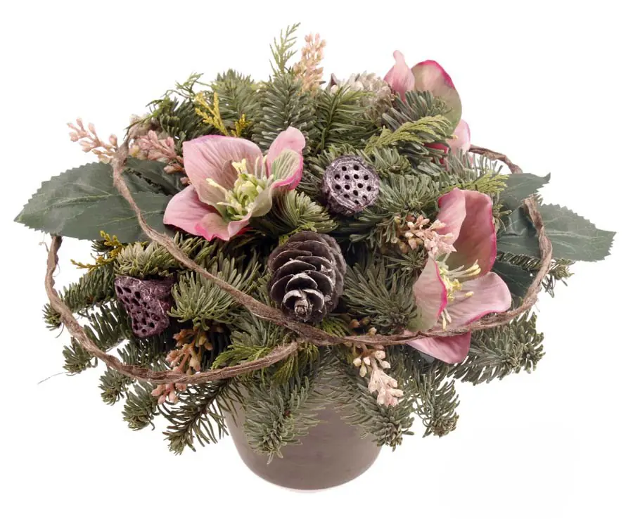 Grabgesteck rund mit Christrosen altrosa 25 cm Topf