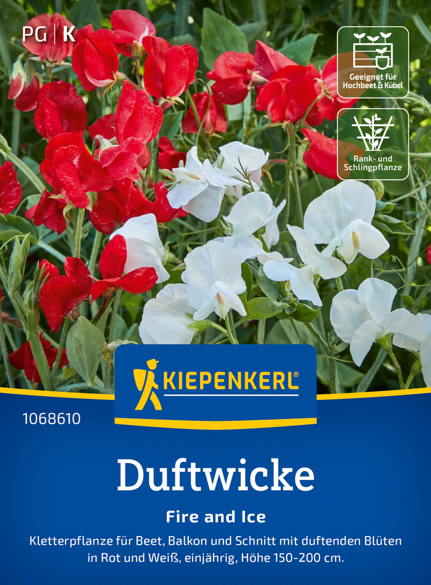 Kiepenkerl Blumensamen Duftwicke Fire and Ice für ca. 25 Pflanzen
