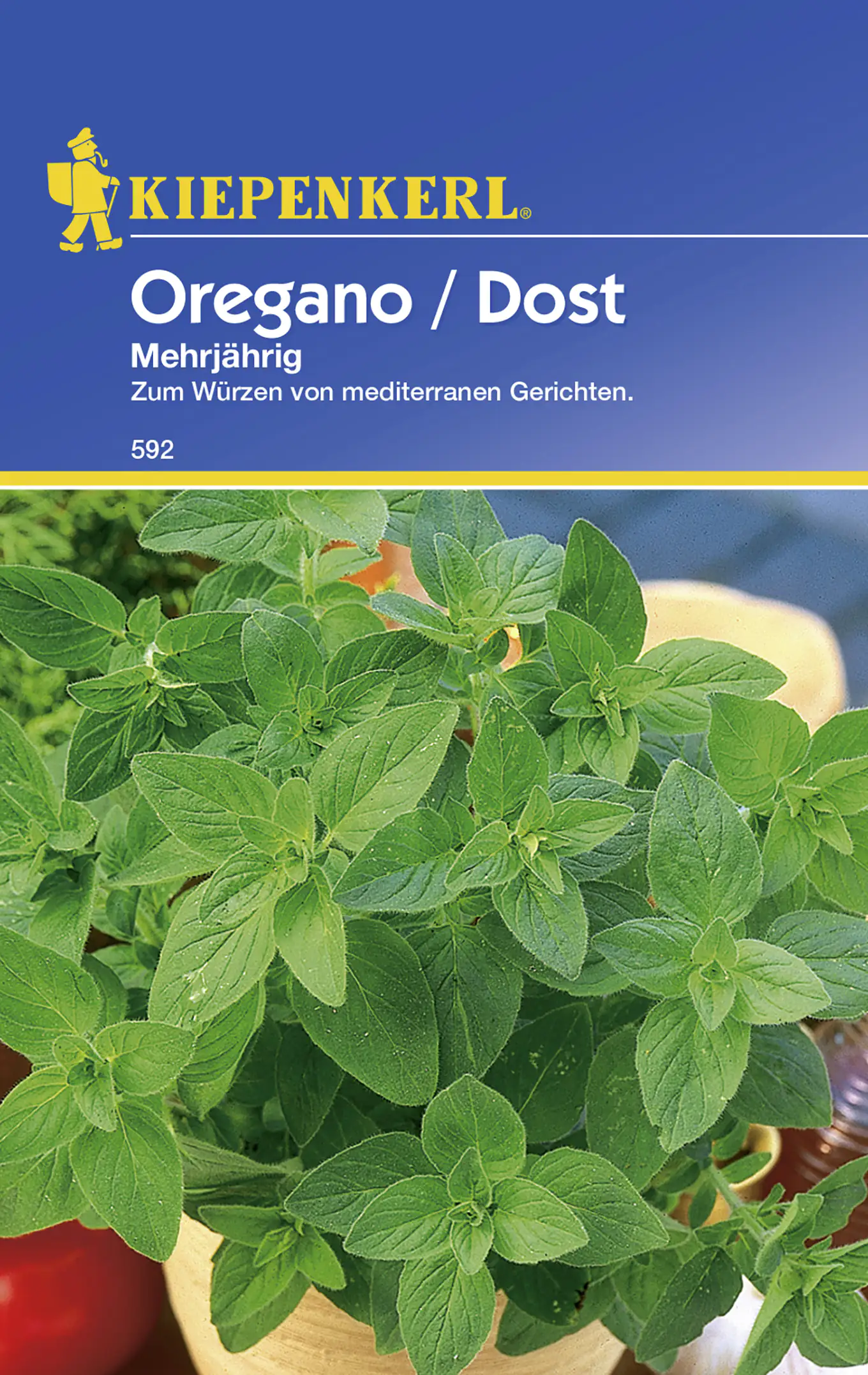 Kiepenkerl Oregano Mehrjährig Origanum vulgare, Inhalt: ca. 50 Pflanzen Kiepenkerl Oregano Mehrjährig Origanum vulgare, Inhalt: ca. 50 Pflanzen