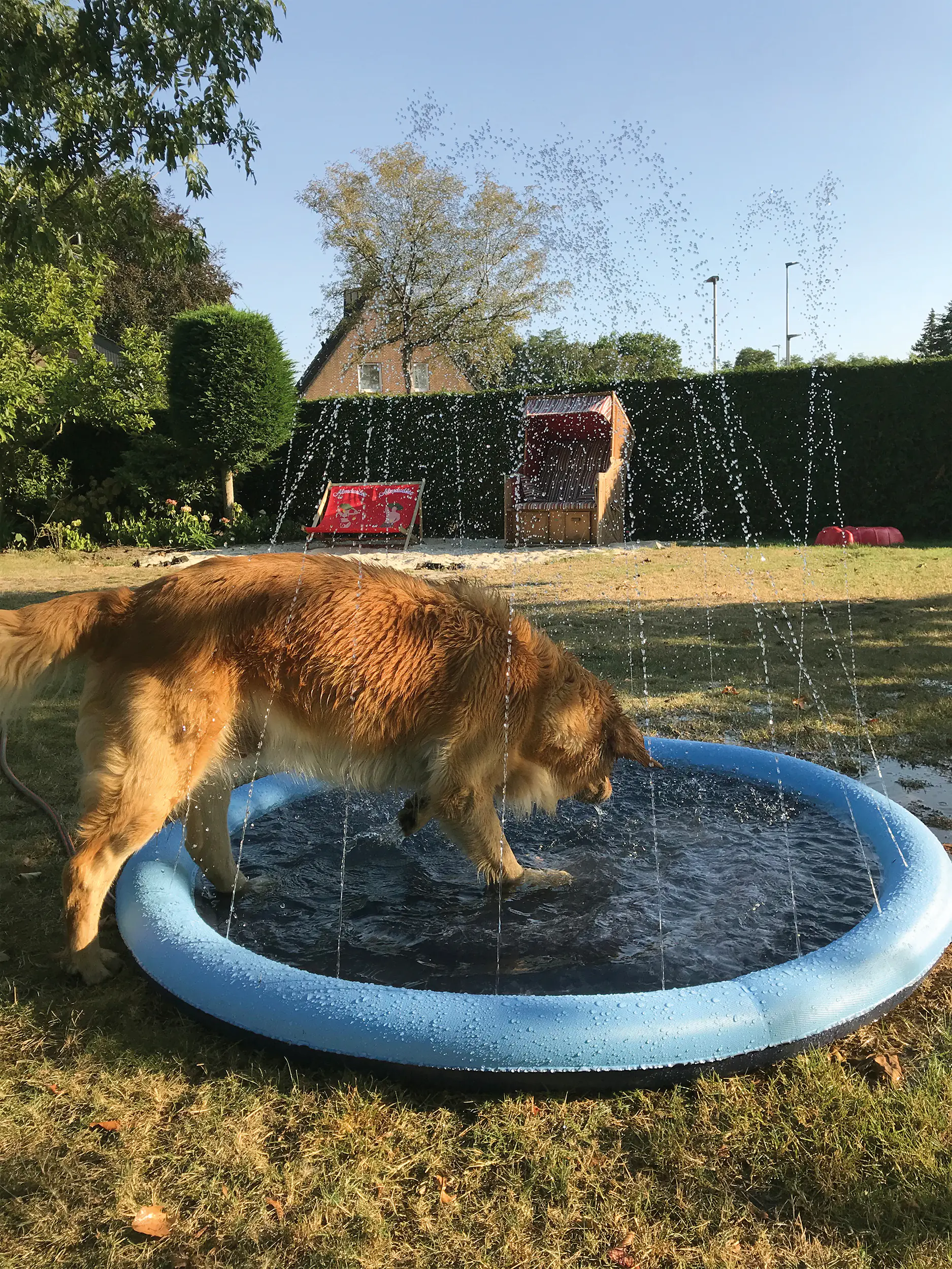 Nobby Hundepool Splash Pool Nobby Hundepool Splash Pool