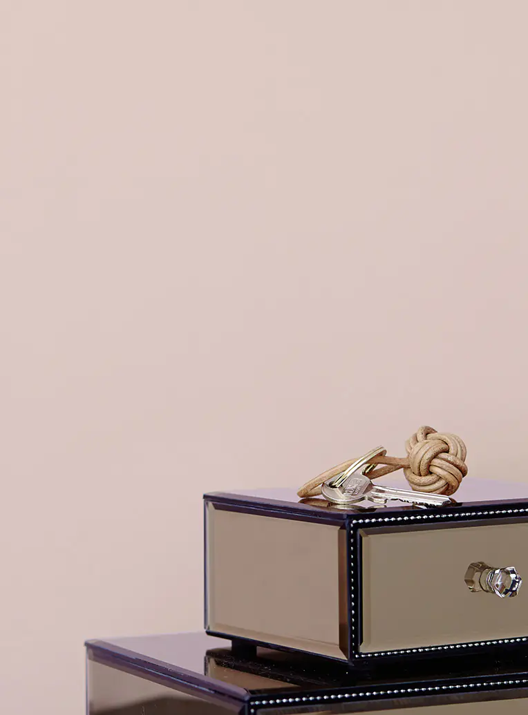 Alpina Feine Farben Wandfarbe No. 23 Wolken in Rosê - verträumtes graurosé 2,5 L