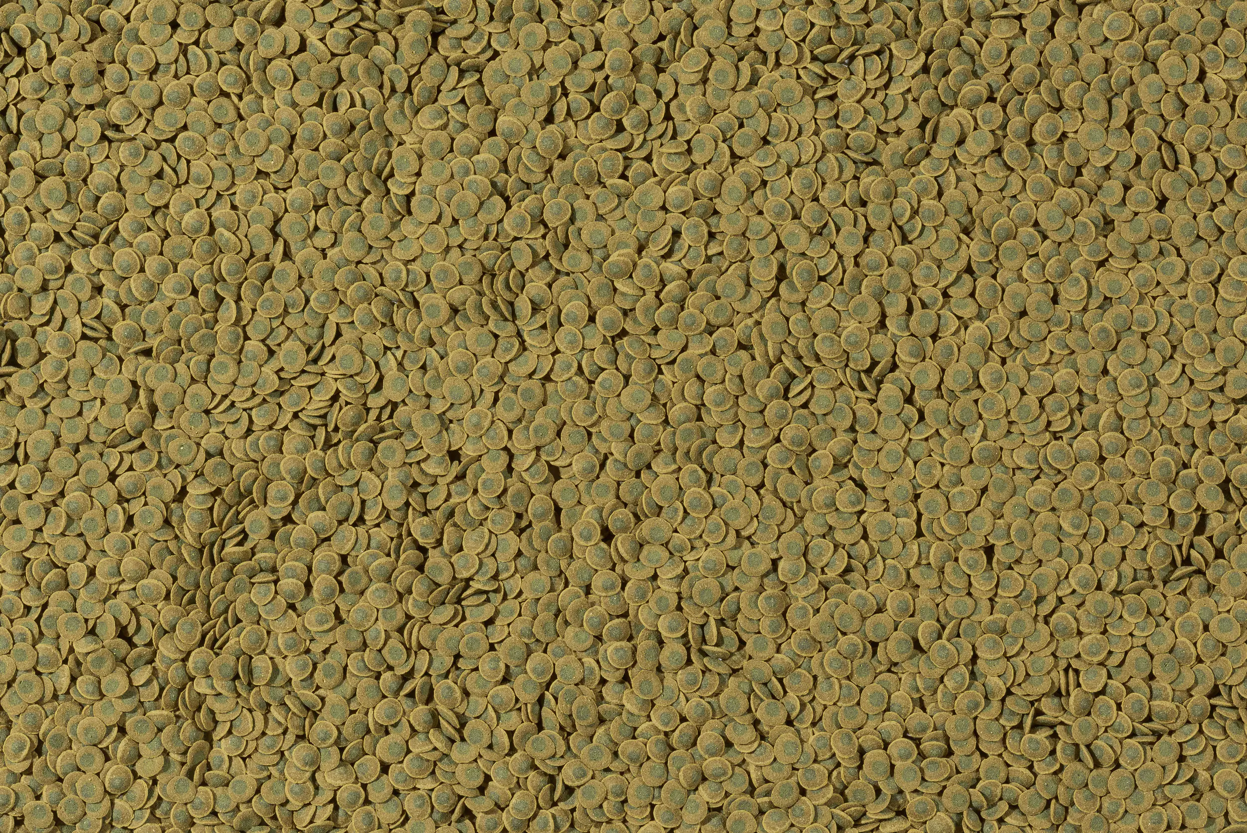 Tetra Pleco Veggie Wafers 100 ml