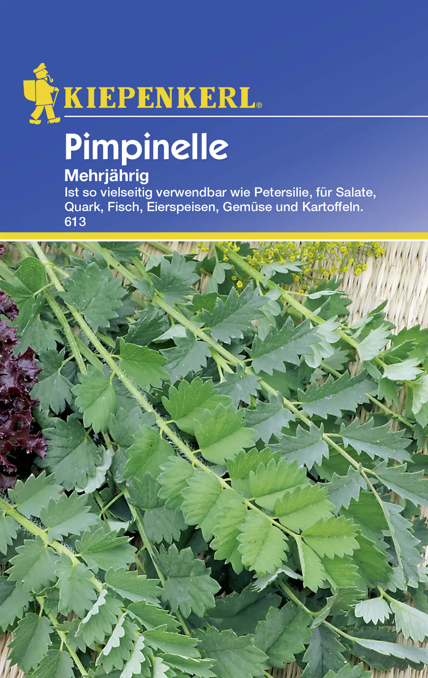 Kiepenkerl Pimpinelle Pimpinelle mehrjährig Sanguisorba minor, Inhalt: ca. 50 Pflanzen