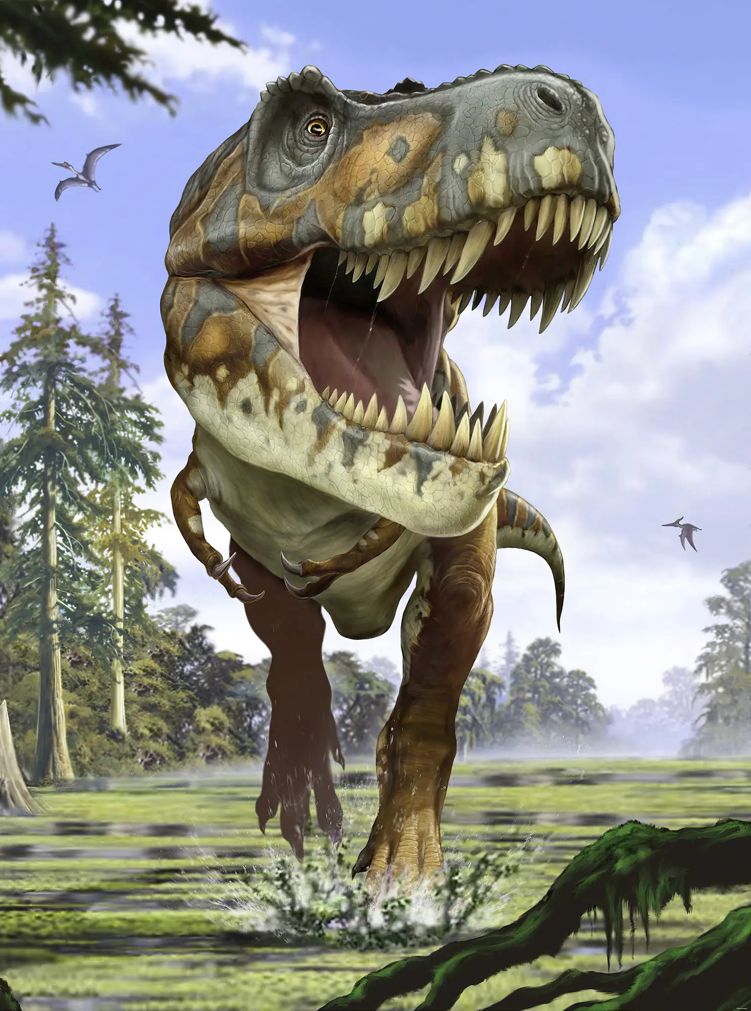 4036834545321 Komar Vlies Fototapete Tyrannosaurus Rex 184 x 248 cm