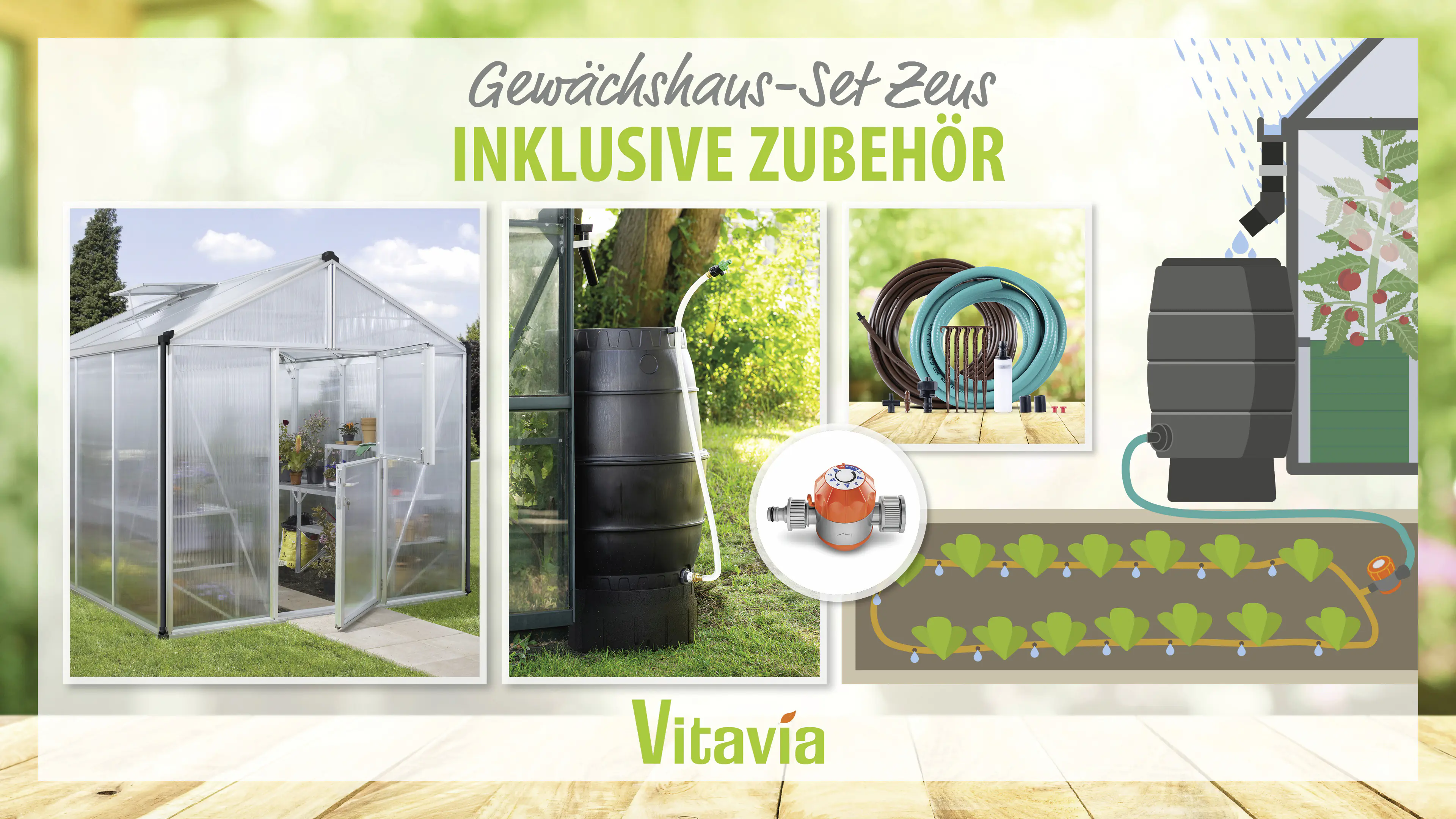 Vitavia Gewächshaus-Set Zeus 8100 HKP 10 mm alu 266 x 324 cm 