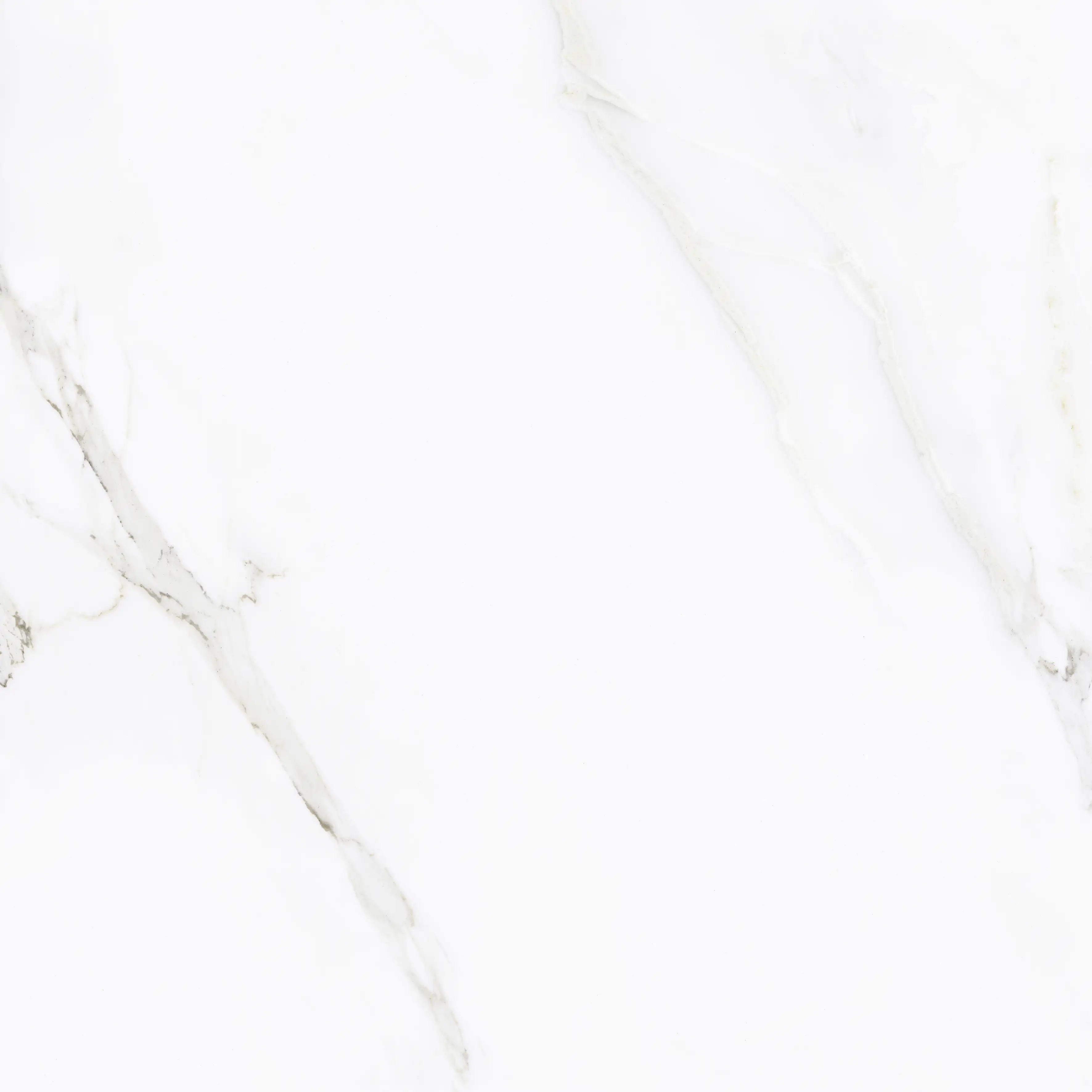 Bodenfliese Feinsteinzeug Calacatta 60 x 60 cm weiß