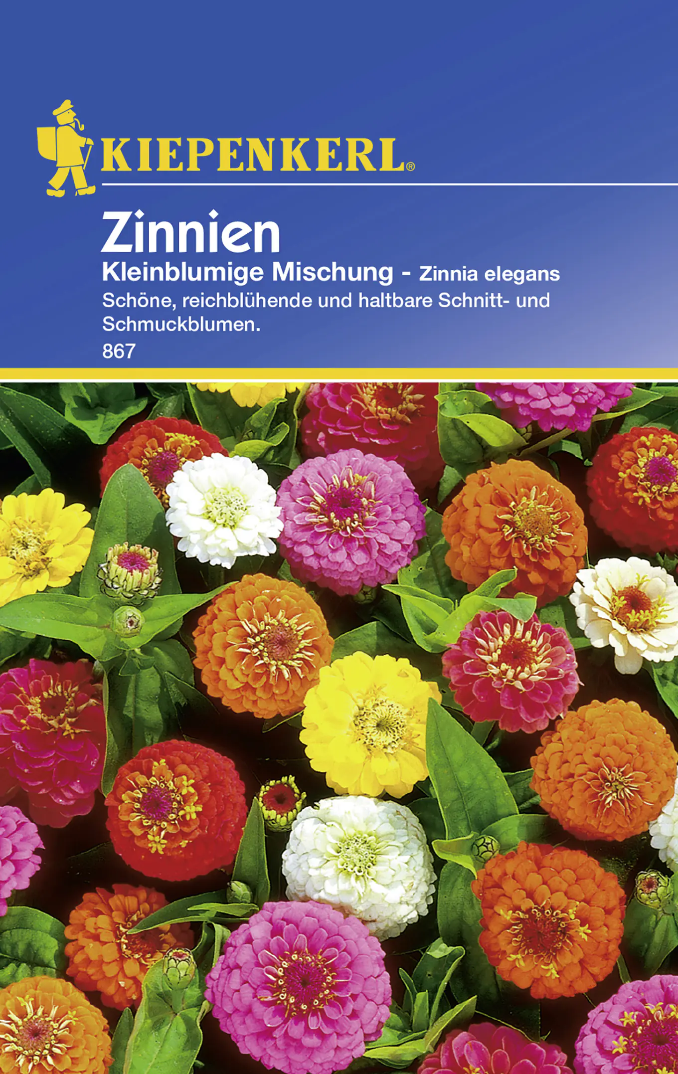 Kiepenkerl Zinnie Kleinblumige Mischung Zinnia elegans, Inhalt: ca. 50 Pflanzen