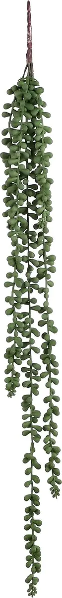 Mica Decorations Haengend Senecio polypropylene 71 x 5 x 5 cm grün