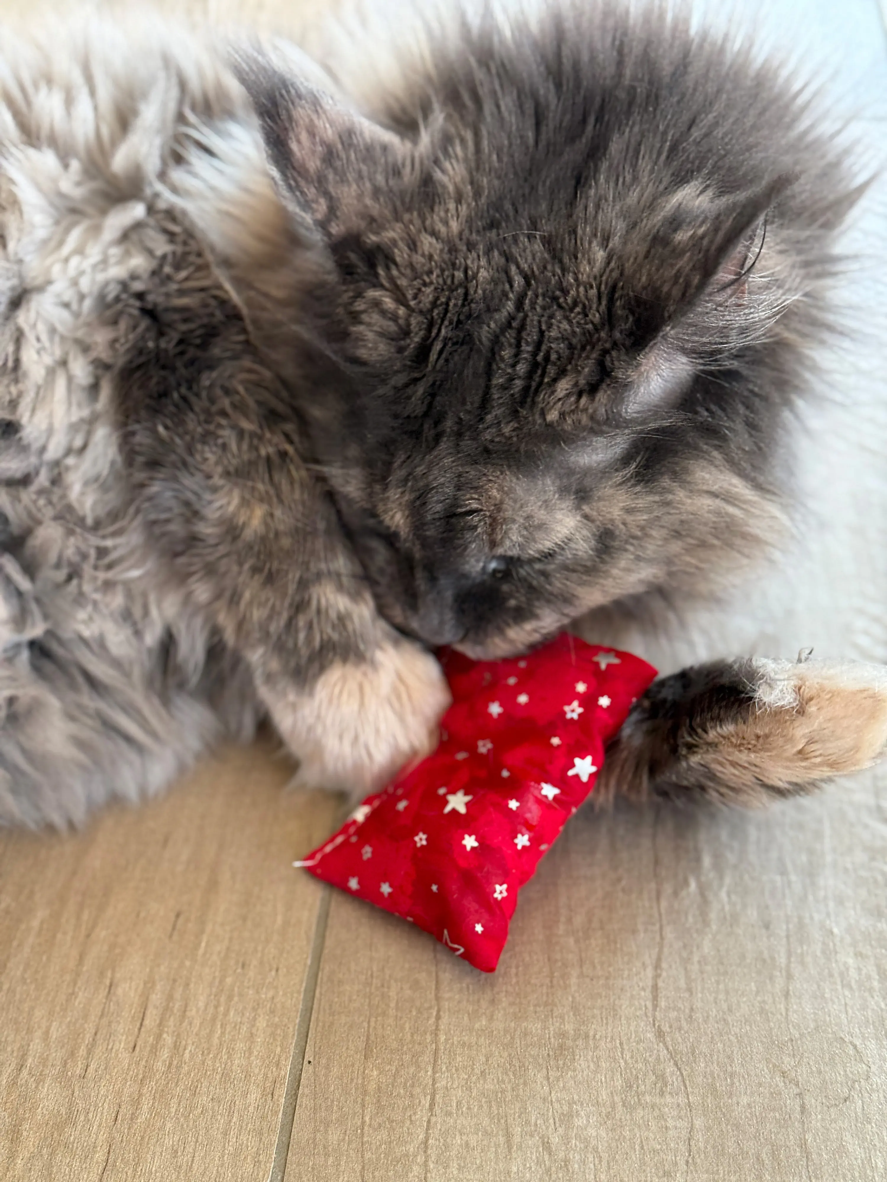 Aumüller Katzenspielzeug Weihnachten Kissen 10 cm grau rot - 2 Stk. Aumüller Katzenspielzeug Weihnachten Kissen 10 cm grau rot - 2 Stk.