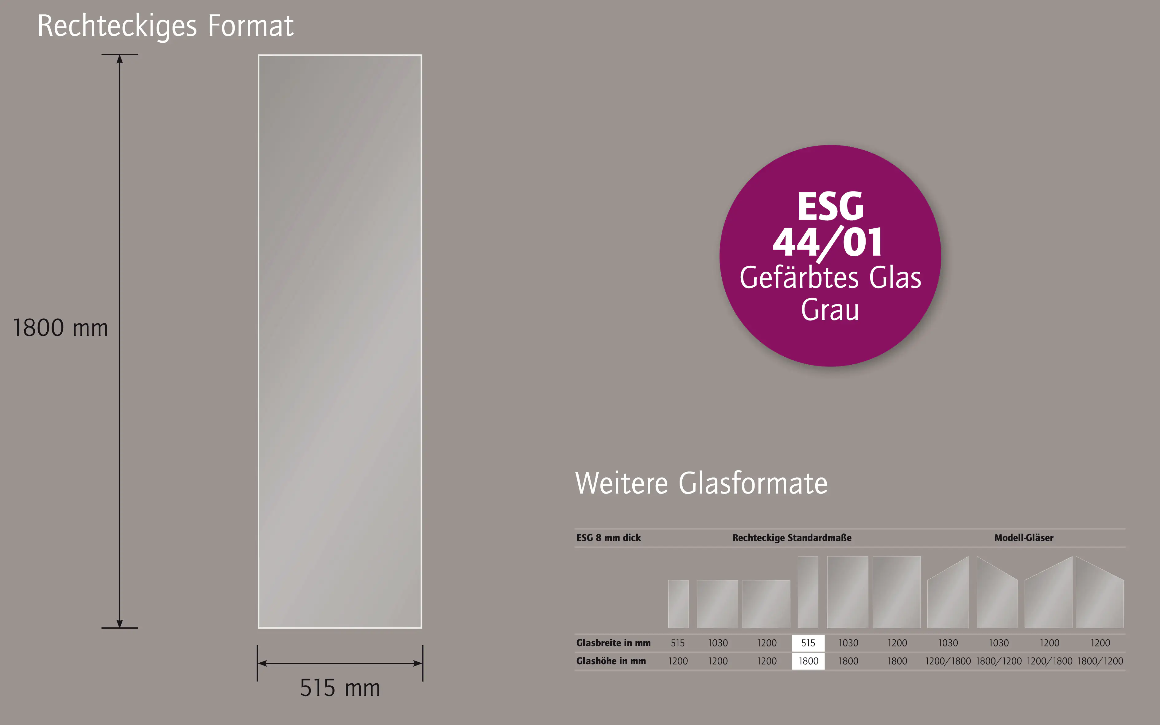 Ambiente Glaszaun B x H: 51,5 cm x 180 cm, gehärtetes 8 mm Glas Ambiente Glaszaun B x H: 51,5 cm x 180 cm, gehärtetes 8 mm Glas
